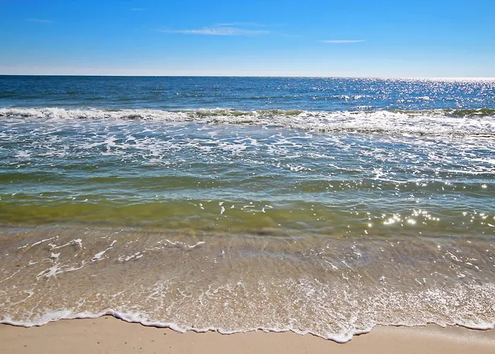 San Carlos 1007 By Youngs Suncoast Gulf Shores